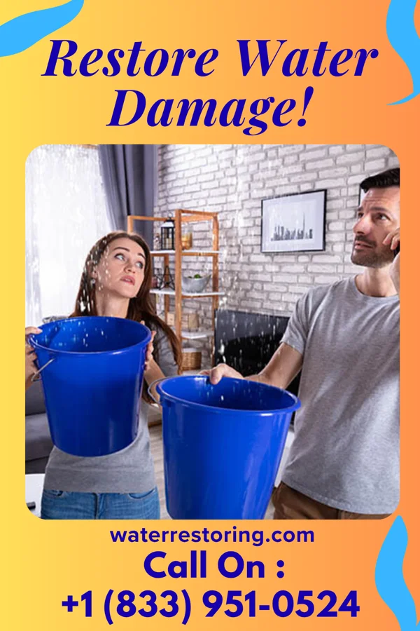 water restoration Diamond Water Removal Brothers Lanesboro